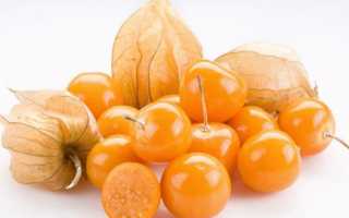 Польза физалиса и его полезные свойства. Вред физалиса для организма человека.