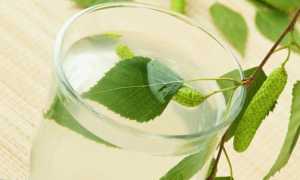 Березовый сок польза и вред