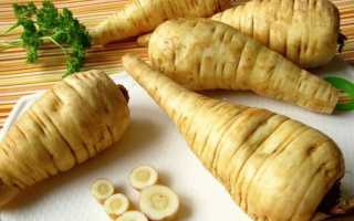 Пастернак – полезные свойства и противопоказания