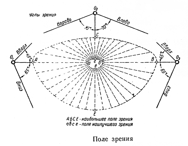 Поле зрения