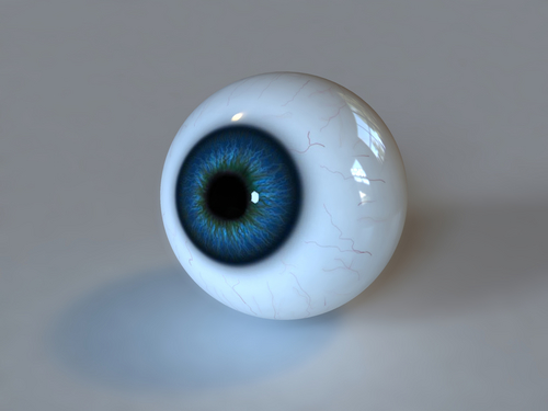 Глазное яблоко