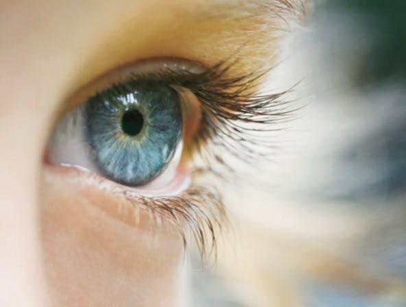 Голубой цвет глаз